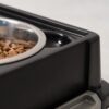 IRIS USA 13Lbs/12qt Medium Elevated Dog Food Bowl with Airtight Pet Food Storage Container, Black