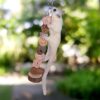 Exotic Nutrition Woodland Accessory Bundle - Natural Wood Chewing Cage Toys - Chinchilla, Hamster, Squirrel, Gerbil, & More Small Pets