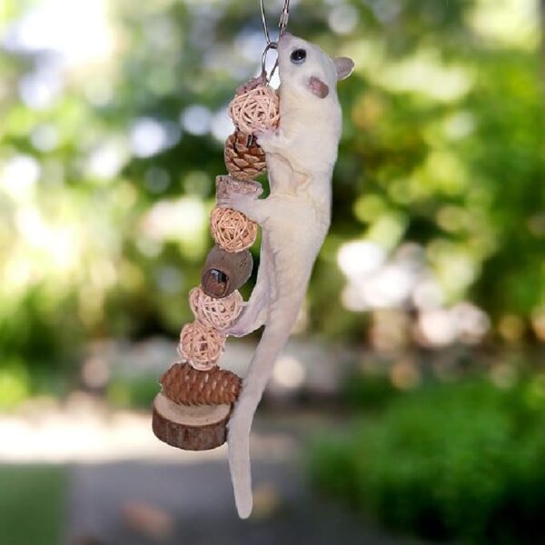Exotic Nutrition Woodland Accessory Bundle - Natural Wood Chewing Cage Toys - Chinchilla, Hamster, Squirrel, Gerbil, & More Small Pets