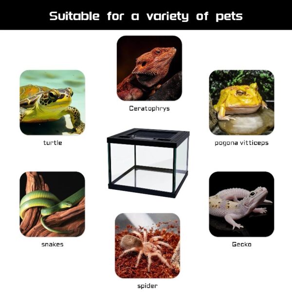 Mini Reptile Glass Terrarium Tank 8 * 8 * 6