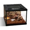 Mini Reptile Glass Terrarium Tank 8 * 8 * 6