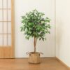 DR.Planzen 5 feet Artificial Ficus Tree, Tall Lifelike Greenery with Natural Wood Trunk for Living Room, office floor and corner decor