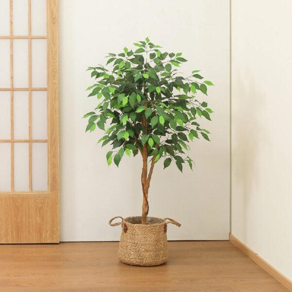 DR.Planzen 5 feet Artificial Ficus Tree, Tall Lifelike Greenery with Natural Wood Trunk for Living Room, office floor and corner decor