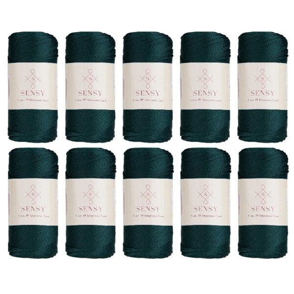 5 Skeins of Sensy Premium 2mm 251 Yards Polyester Rope 100% Polypropylene Cord Macrame Cord 2mm Crochet Bag Cord Macrame Rope Crochet Thread Gift for Knitter (Latte)