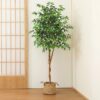 DR.Planzen 5 feet Artificial Ficus Tree, Tall Lifelike Greenery with Natural Wood Trunk for Living Room, office floor and corner decor