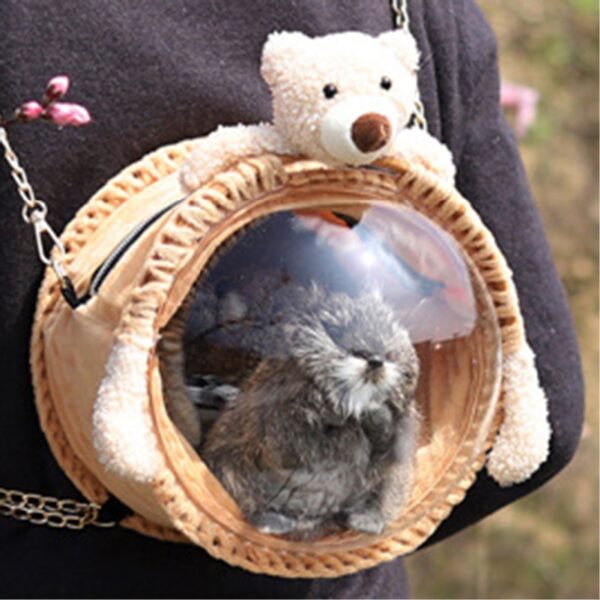 Anvazise Pet Carrier Bag Breathable Cute Doll Decor Portable Small Animals Hamster Chinchilla Travel Shoulder Bag for Outdoor