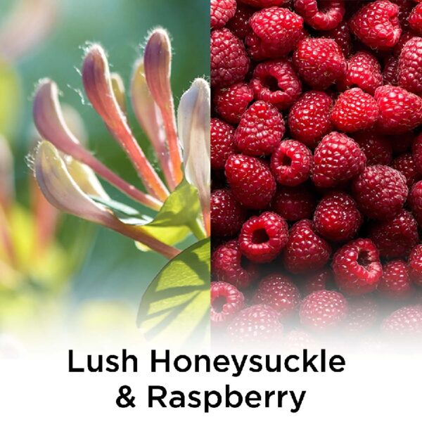 Plug-In Scented Oil Air Freshener Warmer Refills, Honeysuckle and Raspberry, 5 Count