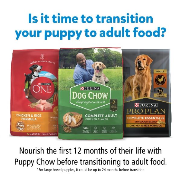 Purina  Dry Dog Food, Tender & Crunchy High Protein Real Beef & Rice, 30 lb Bag