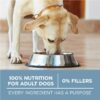 Plus Dry Dog Food Joint & Mobility Health, High Protein Chicken & Rice, 16.5 lb Bag