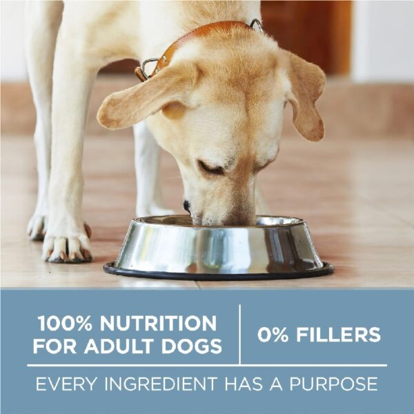 Plus Dry Dog Food Joint & Mobility Health, High Protein Chicken & Rice, 16.5 lb Bag