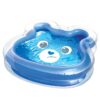 Bears Grumpy Kiddie Pool