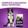Advanced Health Healthy Digestion With Real Chicken Dry Dog Food Adult, 13.5 Lb Bag