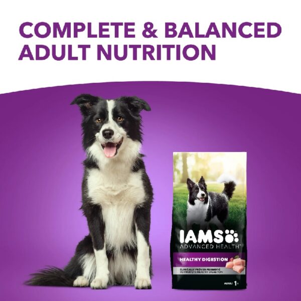 Advanced Health Healthy Digestion With Real Chicken Dry Dog Food Adult, 13.5 Lb Bag