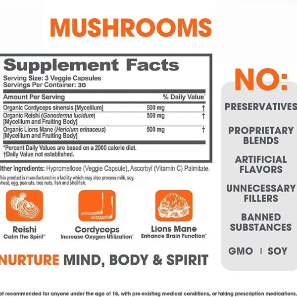 Mushroom Brain Supplement Nootropic with Lions Mane, Reishi, Cordyceps for Energy & Focus, Genius Mushrooms by