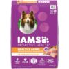 Chicken And Whole Grains Recipe Dry Dog Food, 15 Lb Bag
