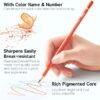 180 Colored Pencils, Shuttle Art Soft Core Coloring Pencils Set with 4 Sharpeners, Professional Color Pencils for Artists Kids Adults Coloring Sketching and Drawing