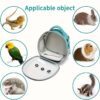 Transparent Pet Backpack Carrier - Lightweight PVC Ventilated Design for Small Animals (Hamsters, Guinea Pigs, Birds) - Secure Zipper & Comfort Straps