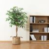 DR.Planzen 5 feet Artificial Ficus Tree, Tall Lifelike Greenery with Natural Wood Trunk for Living Room, office floor and corner decor