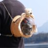 Anvazise Pet Carrier Bag Breathable Cute Doll Decor Portable Small Animals Hamster Chinchilla Travel Shoulder Bag for Outdoor