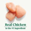 Natural Choice Adult Dry Dog Food, Chicken And Brown Rice Recipe 13 Lbs.