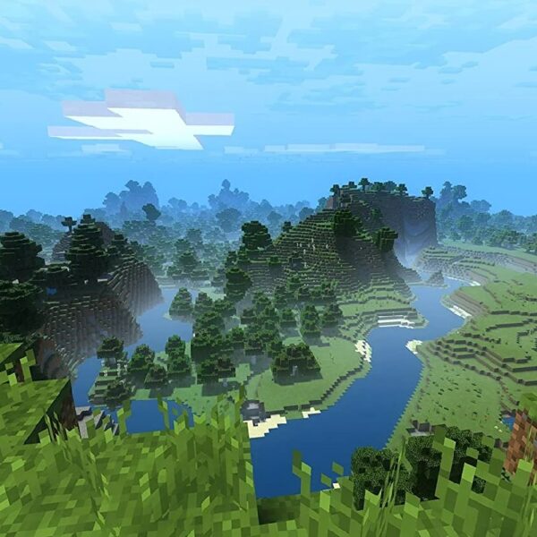 Minecraft -Switch