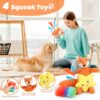 Dog Toys for Small Dogs ,10 Pack Puppy Chew Toys for Teething and Training with Plush Squeaky Toys, Treat Ball and Rope Toys to Keep Them Busy
