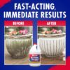 (2 pack)Outdoor Cleaner - Cleans Stains Caused by Algae, Mold and Mildew, 1 Gallon Concentrate