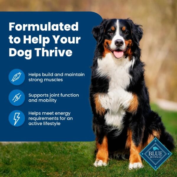 Buffalo Life Protection Formula Adult Dry Dog Food, Chicken & Brown Rice, 15 lbs.