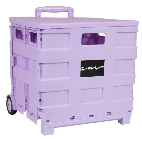 Everything Mary Plastic Craft Cart Organizer - Blue - Hobby Storage Case - Ideal for Teachers & Crafters