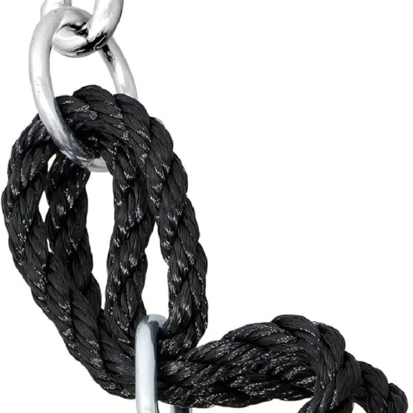 Saucer Tree Swing Set 40