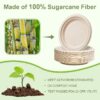 10 inch Paper Plates, 125 Pack Compostable Paper Plates Heavy Duty, Paper Dinner Plates Eco Friendly Disposable Plates for BBQ,Brown