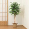 DR.Planzen 5 feet Artificial Ficus Tree, Tall Lifelike Greenery with Natural Wood Trunk for Living Room, office floor and corner decor