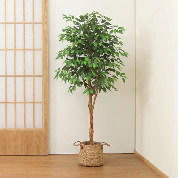 DR.Planzen 5 feet Artificial Ficus Tree, Tall Lifelike Greenery with Natural Wood Trunk for Living Room, office floor and corner decor