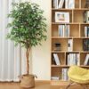 DR.Planzen 5 feet Artificial Ficus Tree, Tall Lifelike Greenery with Natural Wood Trunk for Living Room, office floor and corner decor
