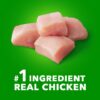 Chicken And Whole Grains Recipe Dry Dog Food, 15 Lb Bag