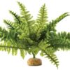 Exo Terra Boston Fern Terrarium Plant Medium - (2 Pack)