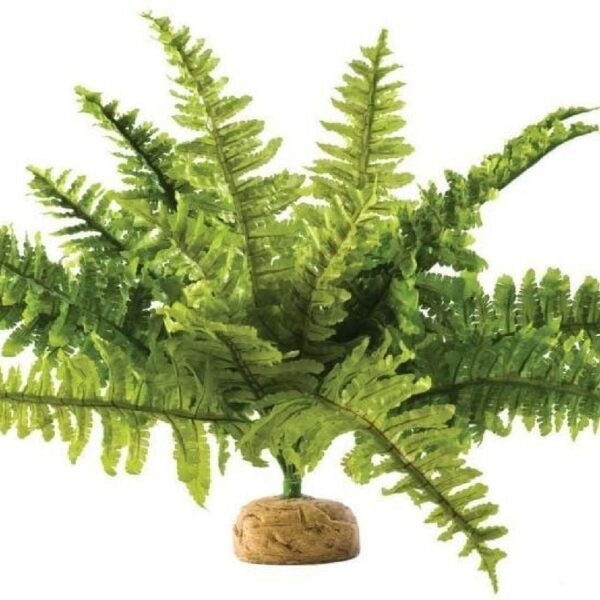 Exo Terra Boston Fern Terrarium Plant Medium - (2 Pack)