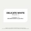 Fundamentals Delicate White Semi-Gloss Interior Paint, 1 Gallon