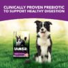 Advanced Health Healthy Digestion With Real Chicken Dry Dog Food Adult, 13.5 Lb Bag