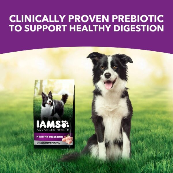 Advanced Health Healthy Digestion With Real Chicken Dry Dog Food Adult, 13.5 Lb Bag