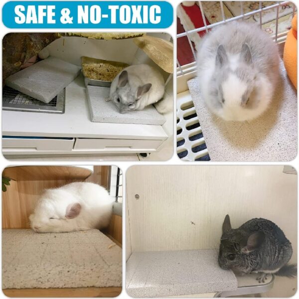 2PC Rabbit Scratching Pad for Small Pets - Lava Pumice Chew Toy for Guinea , Ferret, Hedgehog, Chinchilla, Hamster