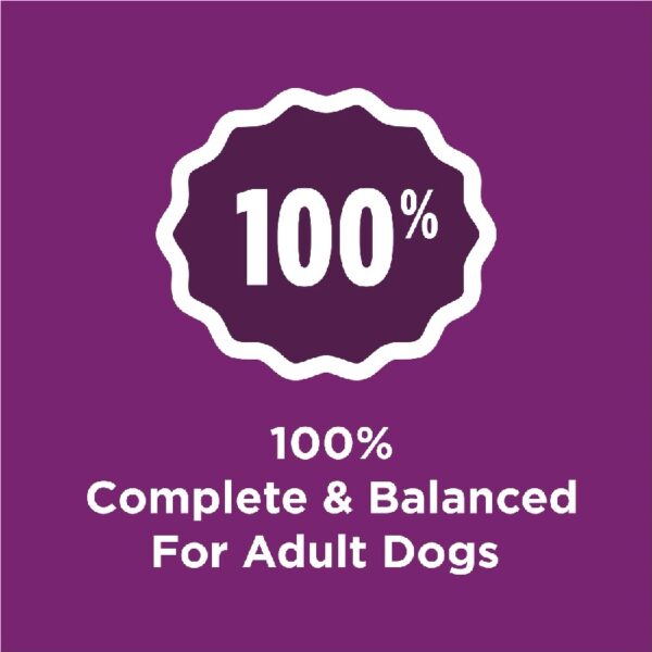 Purina  Complete Dry Dog Food for Adult Dogs High Protein, Lamb, 44 lb Bag