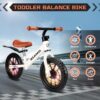 Kid Balance Bike, 12'' Toddlers Training Bicycle for 2-5 Years Old Boys Girls, Lightweight with Lighting up Wheels, Bule