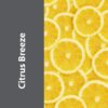 Multi-purpose Enzyme Cleaner for Household Cleaning Odor Eliminator 1 Gallon