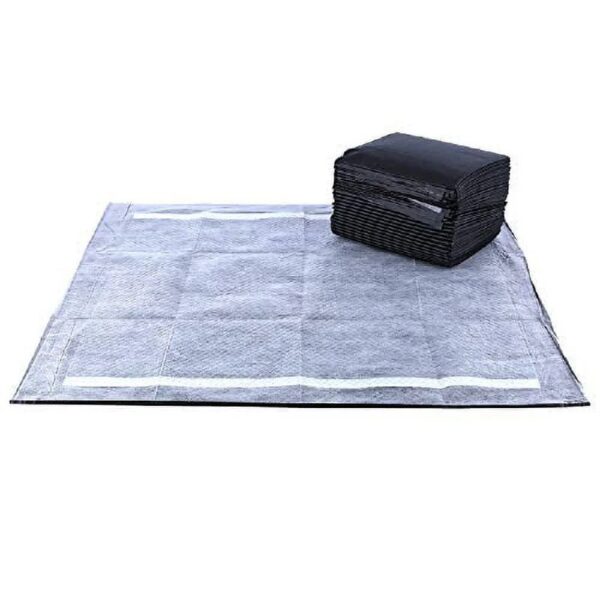 Activated Charcoal Leak-Resistant Training Pads for Dogs, 23in x 23in, 100 Count