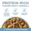 Plus Dry Dog Food Joint & Mobility Health, High Protein Chicken & Rice, 16.5 lb Bag