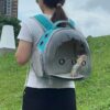 Transparent Pet Backpack Carrier - Lightweight PVC Ventilated Design for Small Animals (Hamsters, Guinea Pigs, Birds) - Secure Zipper & Comfort Straps