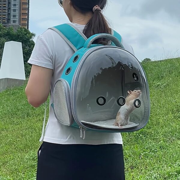 Transparent Pet Backpack Carrier - Lightweight PVC Ventilated Design for Small Animals (Hamsters, Guinea Pigs, Birds) - Secure Zipper & Comfort Straps
