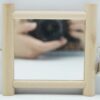 Pet kare - Small and medium-sized parrot toy bird bell birdcage standing mirror stand bar