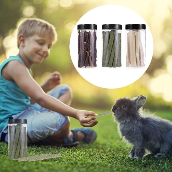 Masteelf 6 Boxes Rabbit Chew Sticks Bunny Chew Toys Hamster Teeth Grinding Toys